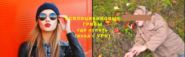 jwh Белокуриха