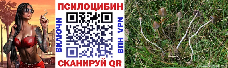 Псилоцибиновые грибы ЛСД  Янаул 